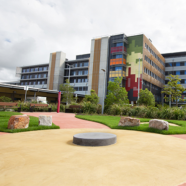Sunshine Coast University Hospital Reconciliation Garden - Place Design ...
