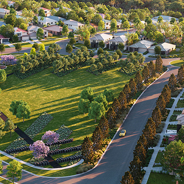 Hayfield Ripley - Place Design Group